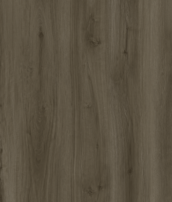 European Oak